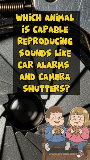 Guess the Animal Before Time Runs Out #challenge #shorts #didyouknow #quiz #trivia #random