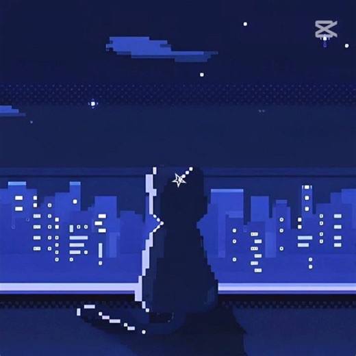 #fyp #cat #car #dc #discord #discordserver #discordservers #premium #luxury #fun #memes #chat