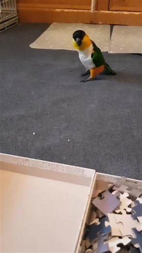 Embracing Positive Attitude This Tuesday