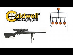 Reviewing the Caldwell Rimfire resetting target