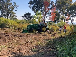 Charles Island Reforestation Group Aims For 1000 Planted Trees