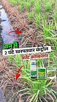 Top Herbicide Combinations for Paddy🌾Best Weed Control for Rice Crops🌱Corteva Novlect, Nominee Gold