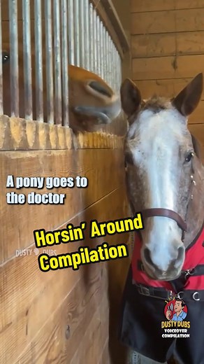 🐴 Horsin’ Around Compilation #dustydubs #voiceovers #horses #horsingaround