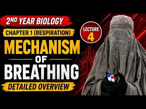 Inspiration & Expiration Process | Mechanism of Breathing | Chapter 1 Respiration | lecture 4 2nd yr