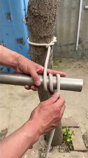 Best Way to Tie a Horizontal Pole to a Tree