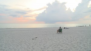 Red tide makes a comeback to Pinellas County beaches