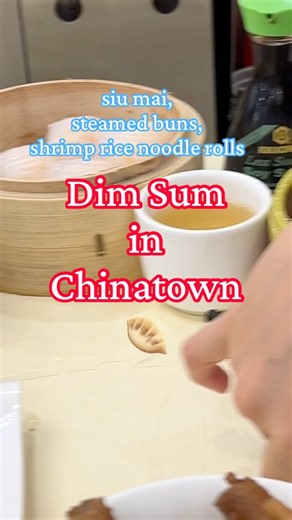 Dim Sum in Chinatown 🥟
