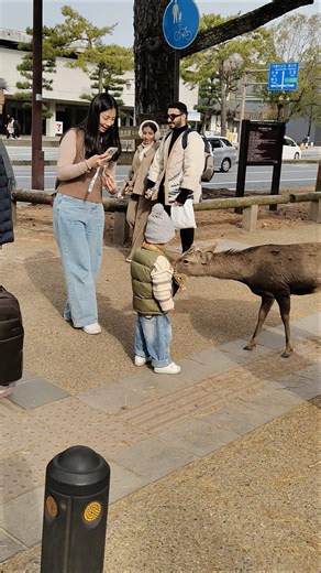 子どもと鹿の心温まるふれあい｜笑顔あふれる幸せなひととき#鹿 #奈良公園 #日本文化 #癒し #子どもと鹿 #動物とのふれあい #幸せな時間 #自然の美しさ #Japan #NaraDeer #Cut