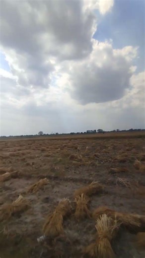 farming vlog #trending #farming