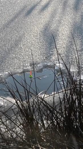 Winter won’t stop a float fisherman. What’s your prediction? | The Amateur Fishing