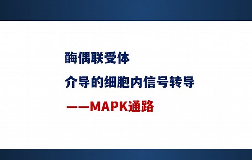 细胞信号转导的分子机制（6）-酶偶联受体 介导的细胞内信号转导——MAPK通路