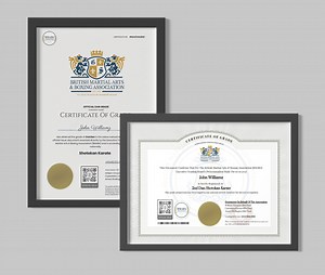 UK Martial Arts Black Belt Gradings - Vocational Dan Grades & Professional Assessments - British Martial Arts & Boxing Association (BMABA) For Clubs & Instructors