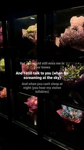 My Tears Ricochet - Taylor Swift (Lyrics)