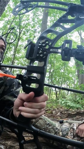 Turkey Comes Within Shooting Range #turkey #turkeyhunting #hunting #outdoors #viral #shorts #archery