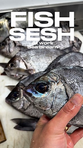 Gil on Instagram: "Fish sesh at work 🔪 Was very busy lately at work, & didn’t get the time to record content. So i recorded myself prepping some fish there, line caught & ikejime local sea bream 👌 Coming back this week with usual content 🫶 Track ID 💿: NeS, BU$I - VENDREDI A LONDRES (trouvé sur la playlist du m boss @gargantua______ ) #fish #instafood #cook #pov"