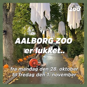 17K views · 251 reactions | AALBORG ZOO ER LUKKET fra mandag den 28....