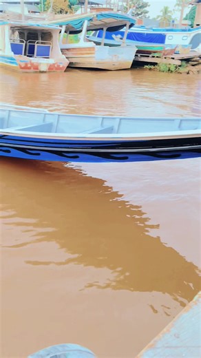 Descubra os lugares imperdíveis em Manaus e Amazonas