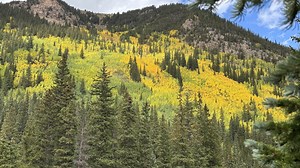 Fall colors could be reaching peak conditions this weekend