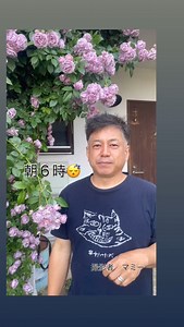 ラベンダーブーケは トゲほぼ無し 花散らない 色最高 かおりあり 生育旺盛 文句なしのつるバラ おすすめのバラです | Yasushi Okamoto