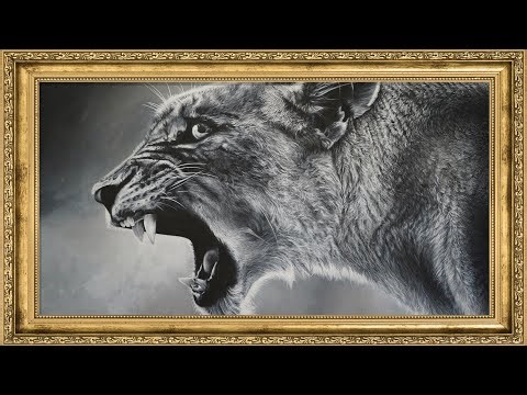 The Roar of Power: Hyper-Realistic Puma 4K Wallpaper | Intense Wildlife Art for Frame TV