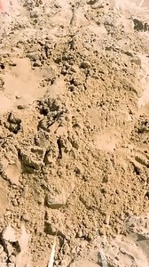 32K views · 212 reactions | Dad And Sand Castle️ Sasha And Max #kidsactivities #kidssongs #reels2024 #shorts #toys #kidsshow | Toys Review | Facebook