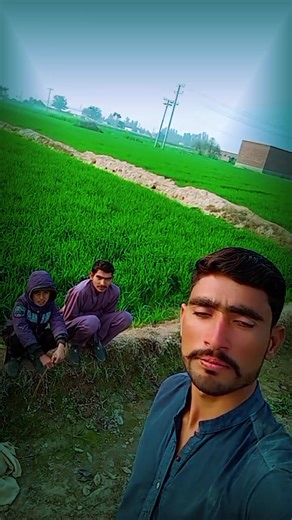 bilal11812l (@bilal03481730977)’s videos with original sound - Bilalwriter495🖇