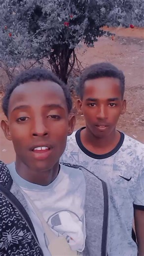 Borana Songs Collection for Music Lovers