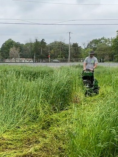 They didn't TAKE CARE of this yard for NOTHING IN THE WORLD! #satisfying #fyp #cleantok #transformation