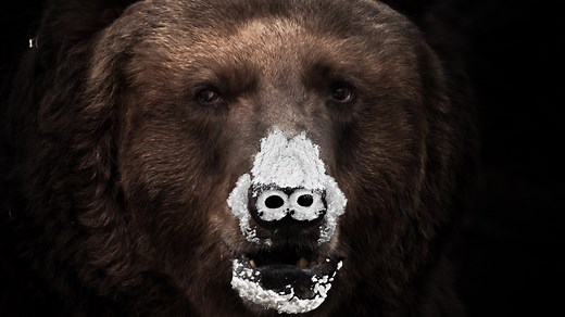 Kentucky Fun Mall Commercial