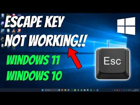 How To Fix ESC (Escape) Key Not Working in Windows