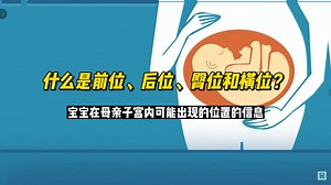 什么是前位、后位、臀位和横位？