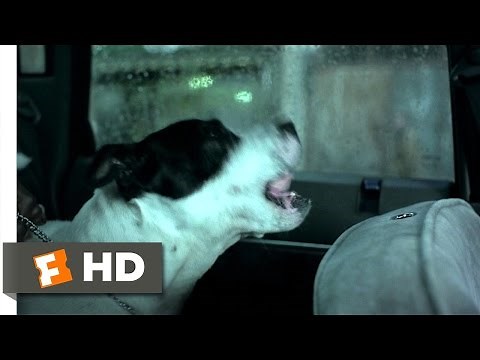 Squeaky Dog - Snatch (3/8) Movie CLIP (2000) HD