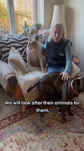 Finishing seventh in the Companion for Life Call for Projects, Refuge4Pets will receive £3,000 to continue providing a vital service for survivors of domestic abuse in the South West. The organisation supports families by caring for their pets, removing a key barrier that can prevent people from leaving abusive situations. Through a network of dedicated volunteer foster homes, animals receive loving care, veterinary attention, and all essential supplies including food, bedding, toys, and treats.