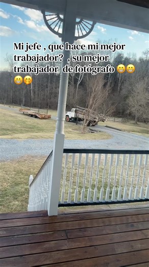 Creaciones odis (@odis_garza26)’s videos with sonido original - perrito ranchero