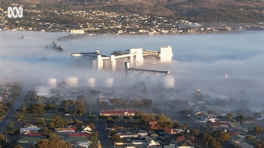 2.6K views · 39 reactions | Did you have fog this morning?  Port Lincoln residents awoke to a misty morning with fog across the city's low-lying areas. It made for a spectacular view from above. What was it like in your neck of the woods?  Personalise your news and stay in the know with the ABC NEWS app: https://ab.co/abcnewsapp | ABC Eyre Peninsula | Facebook