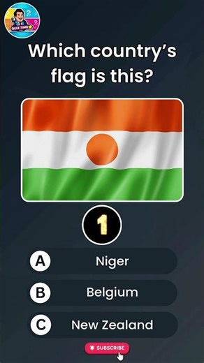 This Flag Tests Your Geography Brain 🧠 #braintraining #ytshorts #countryquiz