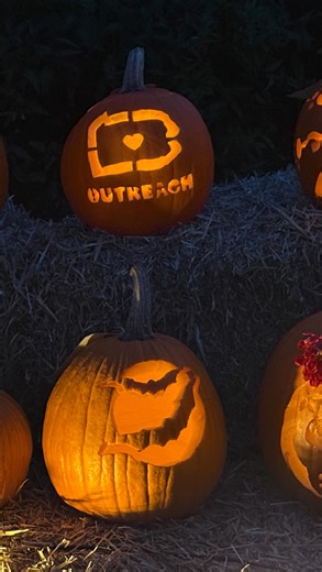 Without further ado... the winners of this year’s pumpkin carving competition! 🏆 In the 2-4 yr age category 🥇 Flowers 🥈 Charlie 🥉 Squares In the 5-7 yr age category 🥇 Camping 🥈 Fuzzy 🥉 Eating In the 8-10 yr age category 🥇 Yellow Submarine 🥈 Dungeon Jail 🥉 Winter Scene In the 11-13 yr age category 🥇 Wicked Witch 🥈 Ti-gg-er 🥉 Green Witch In the 14-17 yr age category 🥇 Snake 🥈 Play Ball 🥉 Coco In the Adult 18 yr age category 🥇 Skull Splitting 🥈 Medusa 🥉 Owl In the PSU Student age