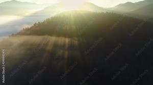 Breathtaking sunrise in the mountains. Sun rises from behind the mountain and illuminates the trees covered with fog. Rays of the sun make their way through the trees on the top of the mountain