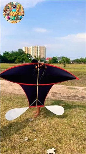 Store-bought version of a flute kite #viral
