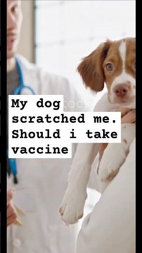 Dog Bites | When You Need a Rabies Shot | Dog Scratch