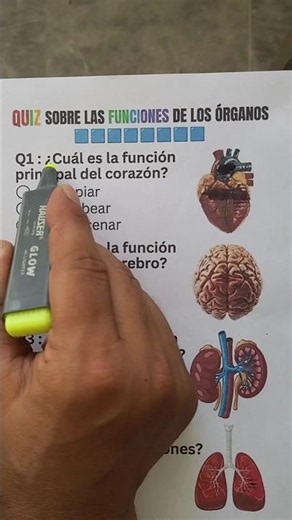 ¡Imposible Sacar 5/5! Quiz De Órganos Que Todo Mundo Falla 🧠 #quiz