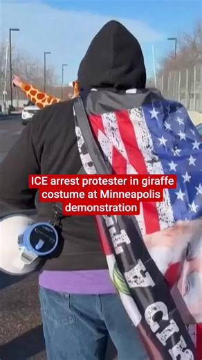 U.S. Immigration and Customs Enforcement (ICE) agents forced a protester wearing a giraffe costume to the ground during a demonstration outside a federal building in Minneapolis on Monday (12 January). A video showed comedian and protest singer Rob Potylo, also known as Robby Roadsteamer, being arrested. Click the link in bio for more 🔗