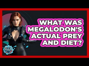 What Was Megalodon's Actual Prey And Diet? - The Marine Life Explorer