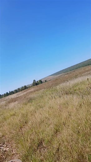 Alpha Young operator (@alphawamachine1)’s videos with original sound - Stephen ngure