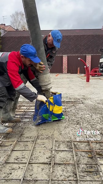 ForestHouse (@foresthouse)’s videos with оригинальный звук - ForestHouse