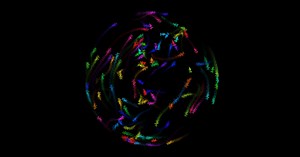 To Decode the Brain, Scientists Automate the Study of Behavior | Quanta Magazine