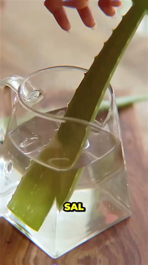 elaboración de gel de alvera#animlarelated#allvera#geel#facts#short#making#natureal