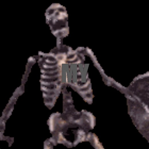 RAHHHH #CapCut #skeleton #skeletonshield #mylifeisaparty #meme | my life is a party