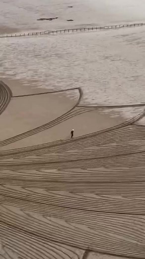 58K views · 1.2K reactions | Amazing "Land Art" by Simon Beck | Visual Cortex | Facebook