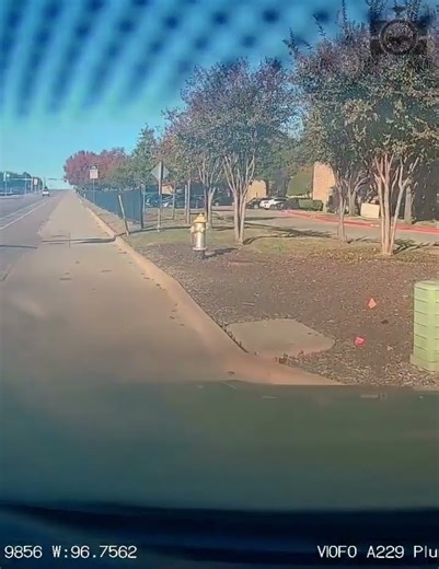 The other driver had the blinking yellow light to turn.